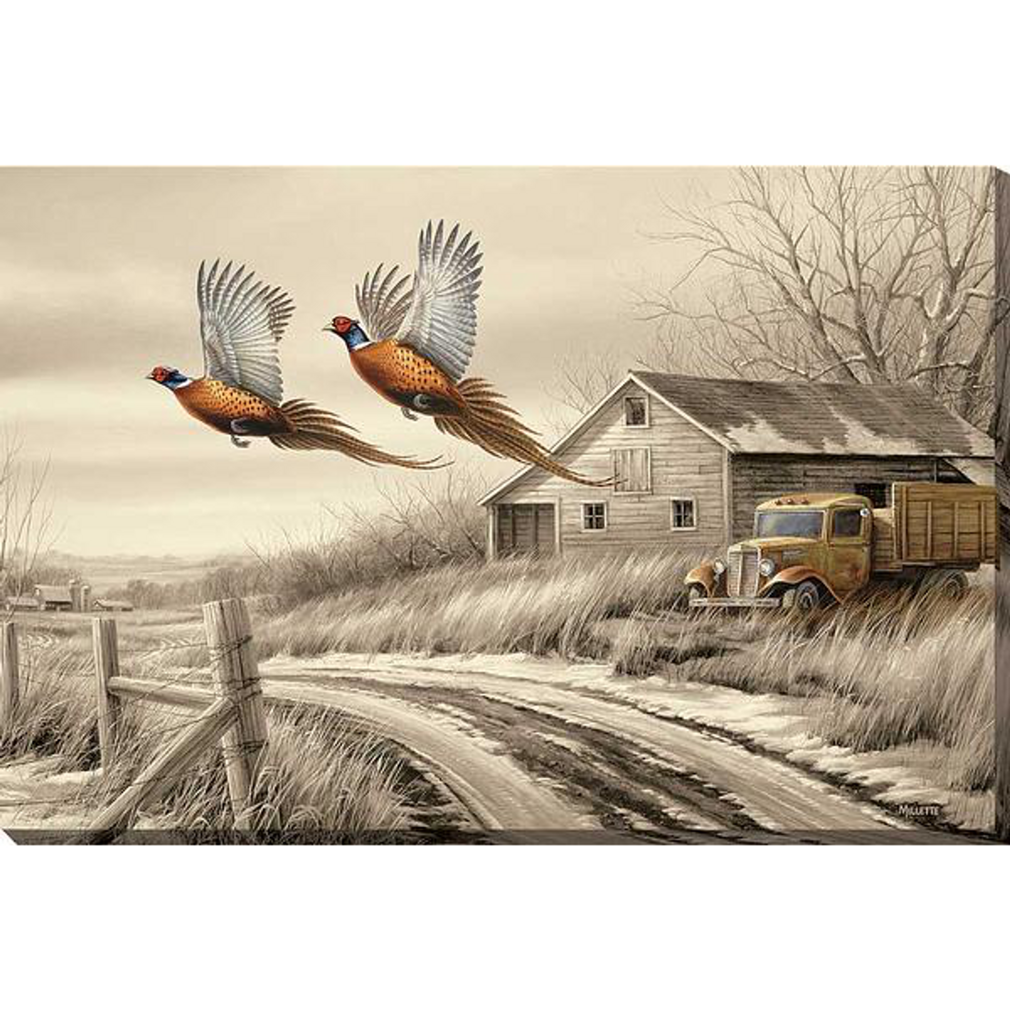 pheasant hunting paintings