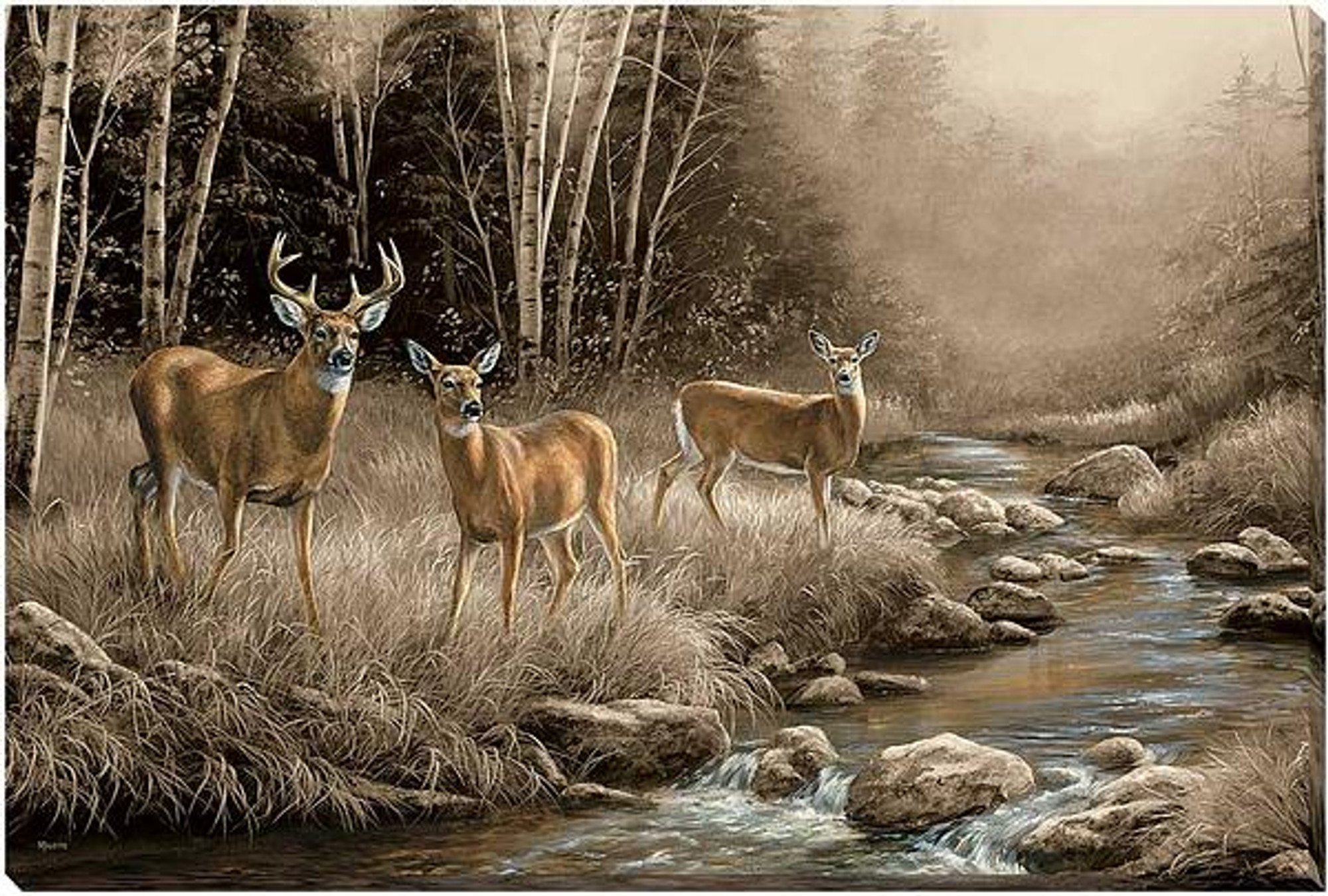 whitetail deer wall decor