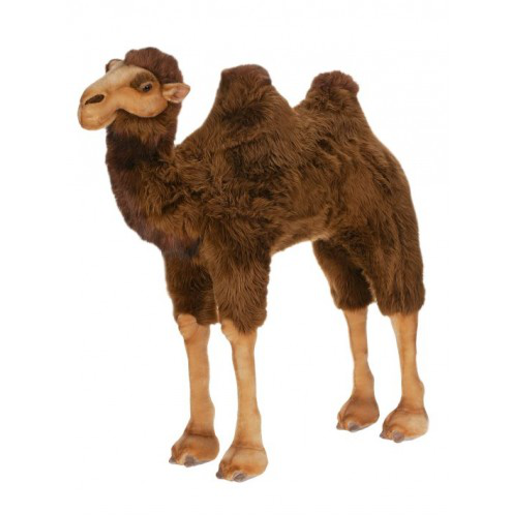 camel plush