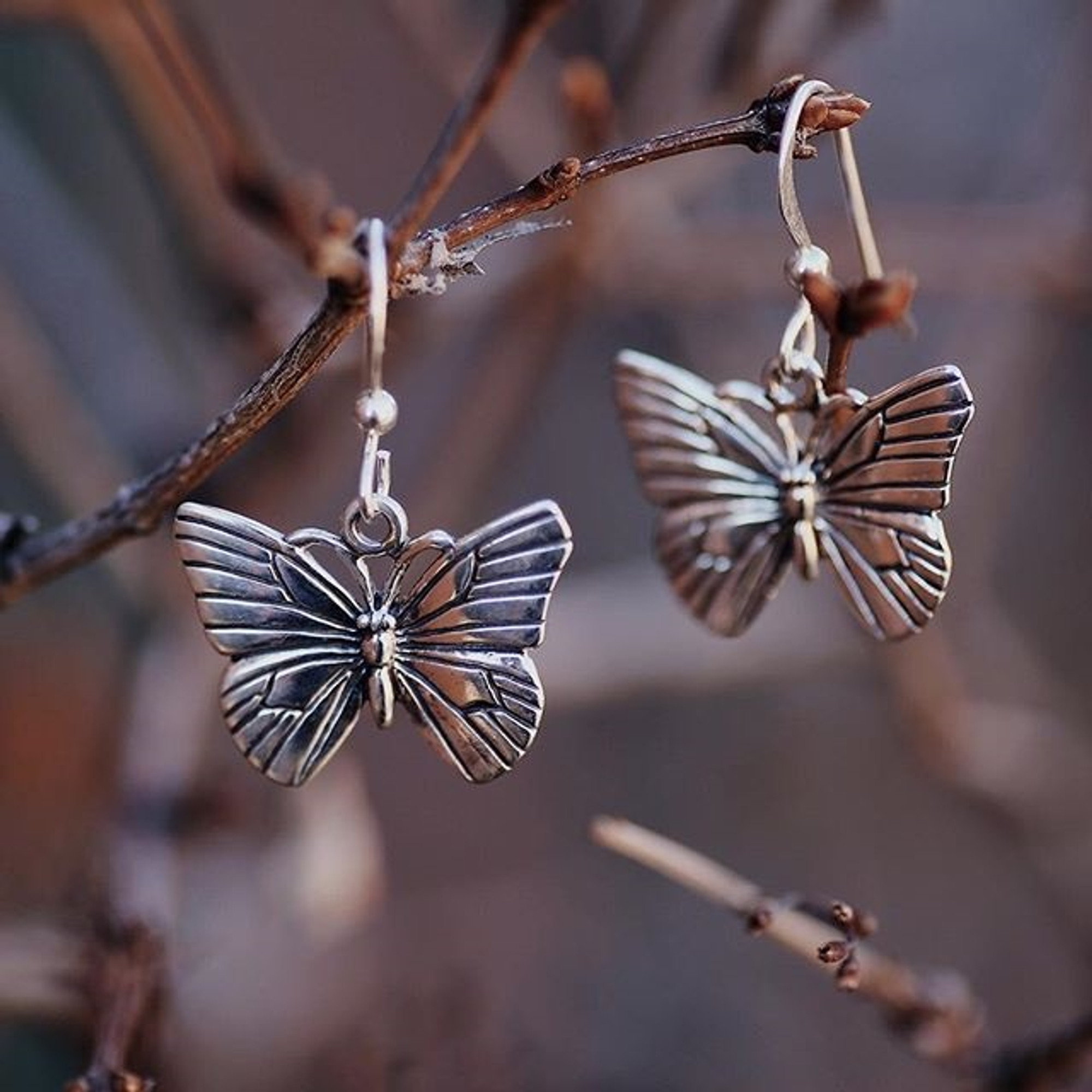 Silver Butterfly Wire Earrings | Sterling Silver Butterfly Earrings | Kabana