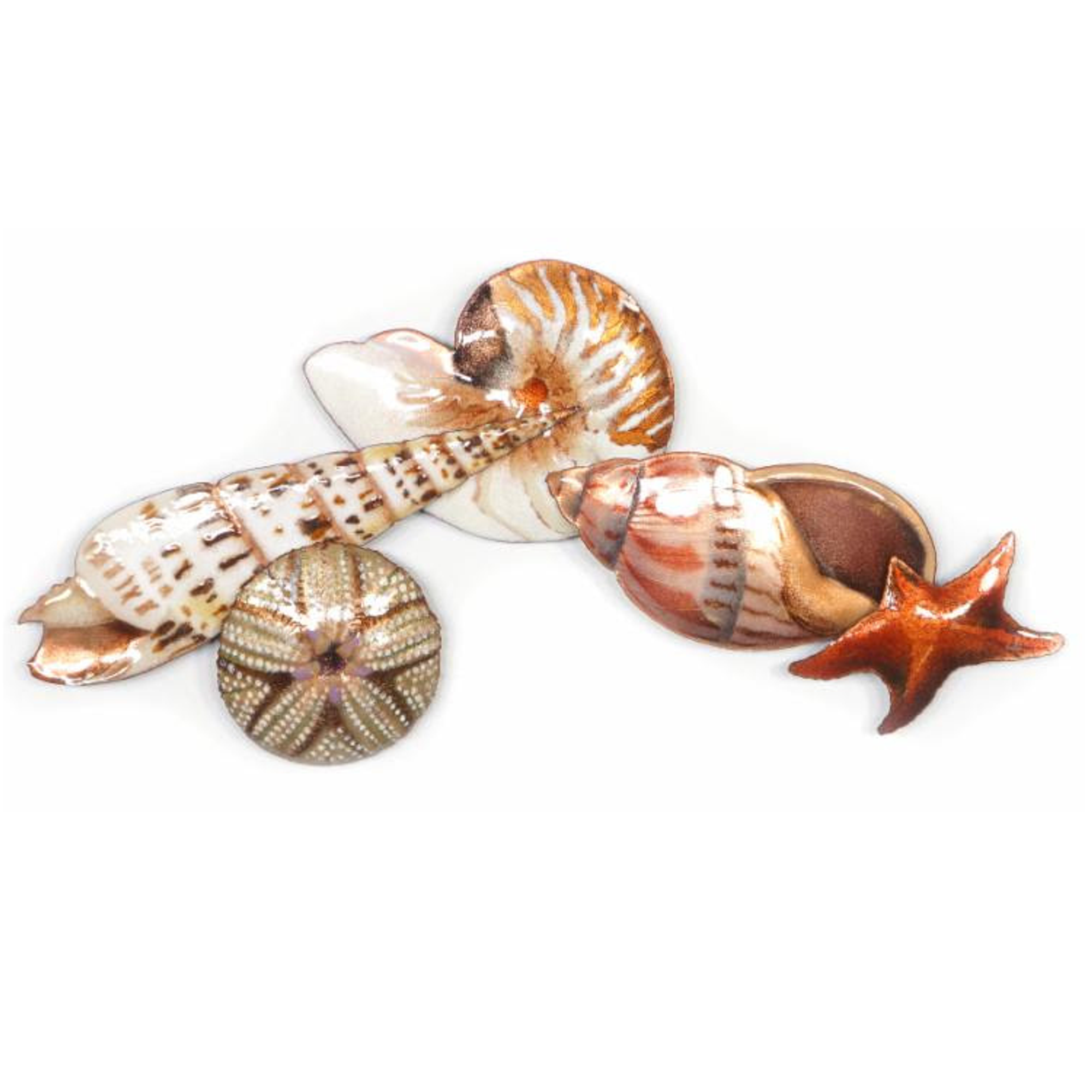 Bovano Starfish And Sea Life Wall Art W1018