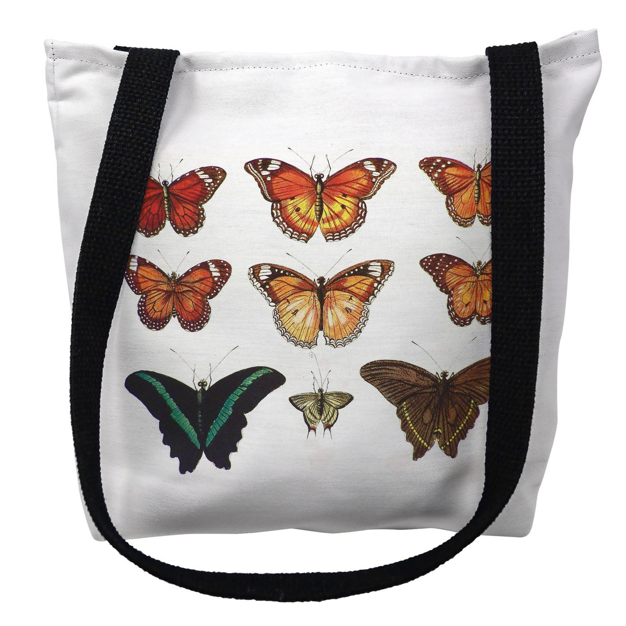 bag of butterflies