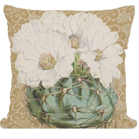 Limited Edition Blooming White Cactus Indoor Outdoor Pillow