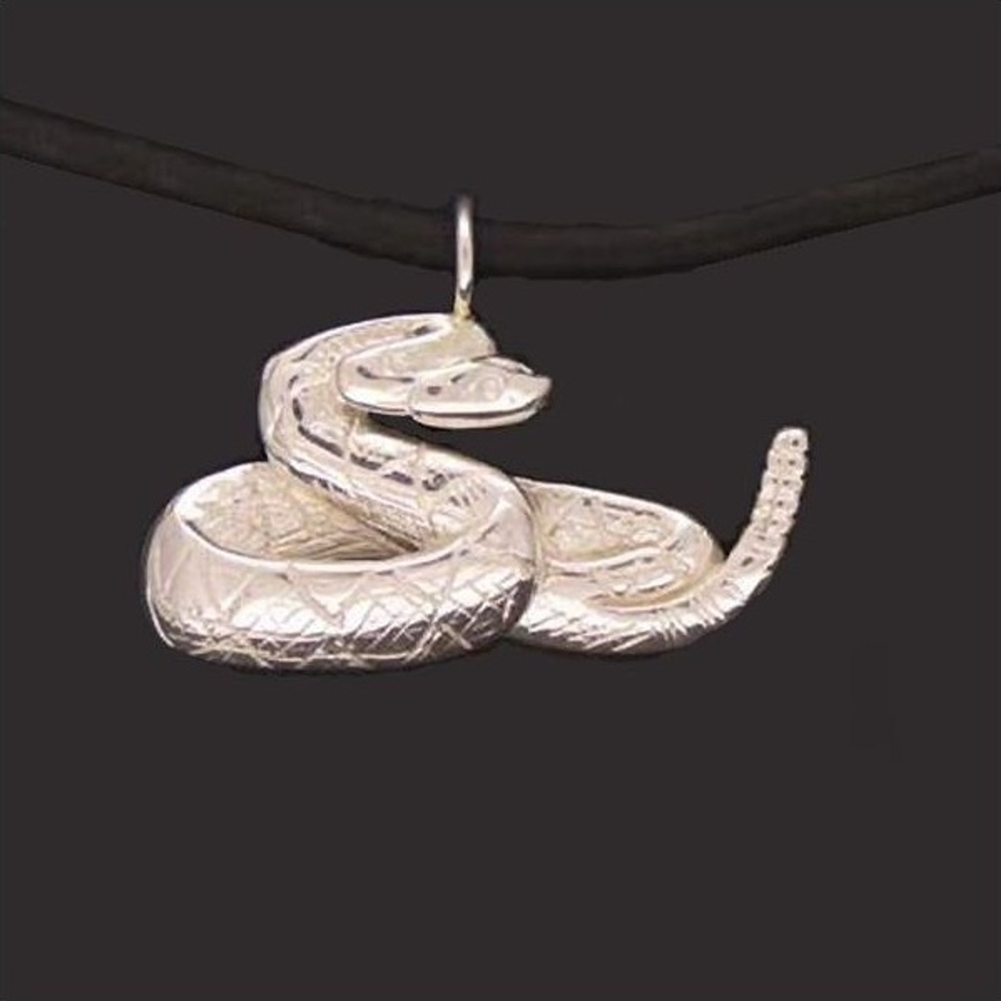 Real Rattlesnake Rattle Necklace: Black & Silver