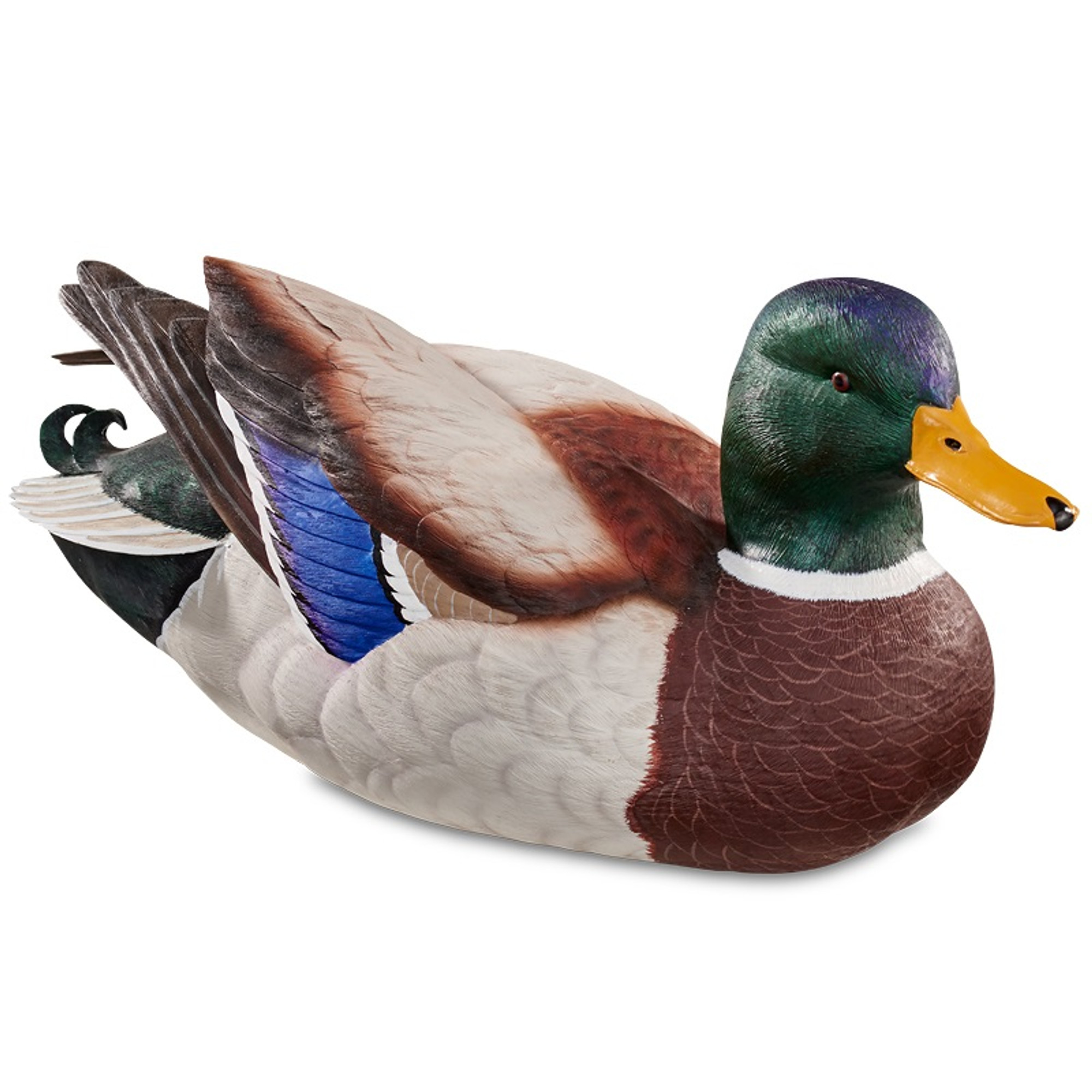 Swan Lake Mallard Drake Duck | Lifesize Decoy Sculpture