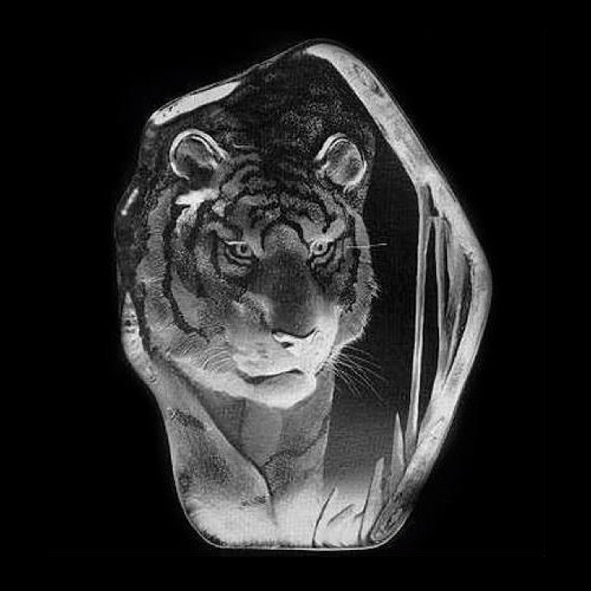 Large Tiger Crystal Sculpture | 33378 | Mats Jonasson Maleras