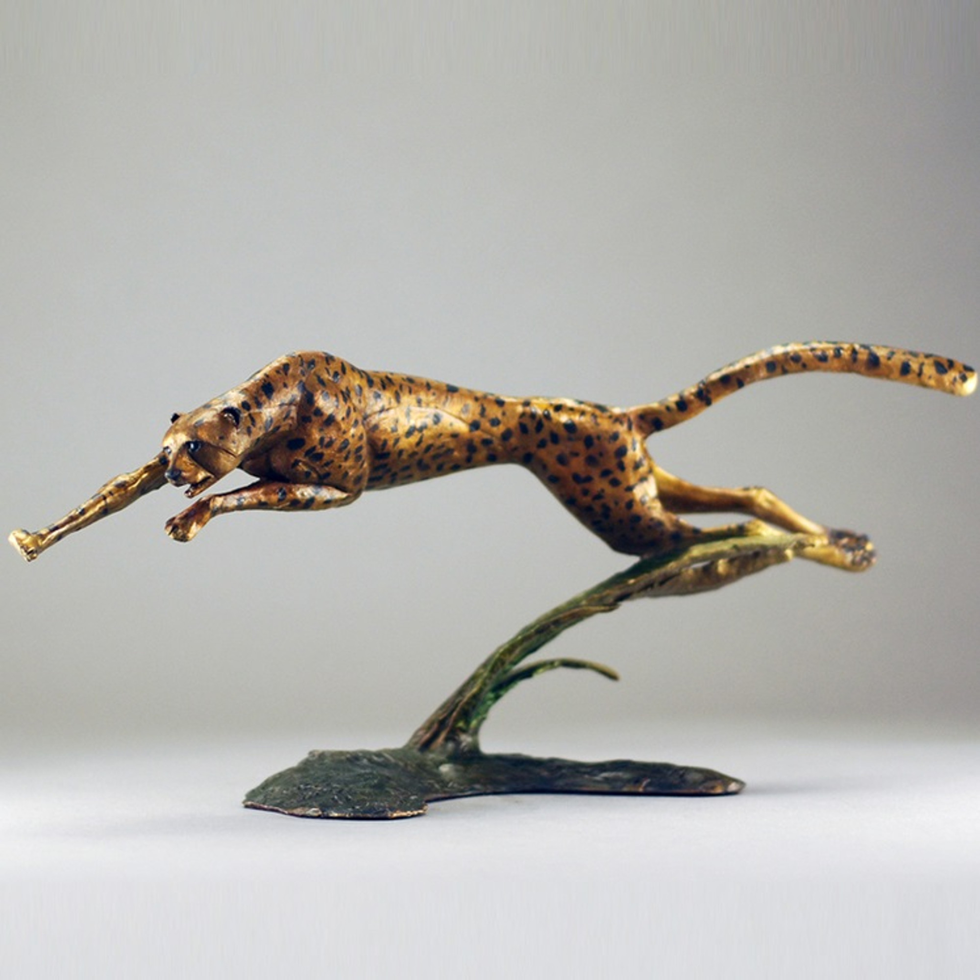 新品 liten Sheer Sculpture Tops Mint 新品 liten Sheer Sculpture Tops Mint