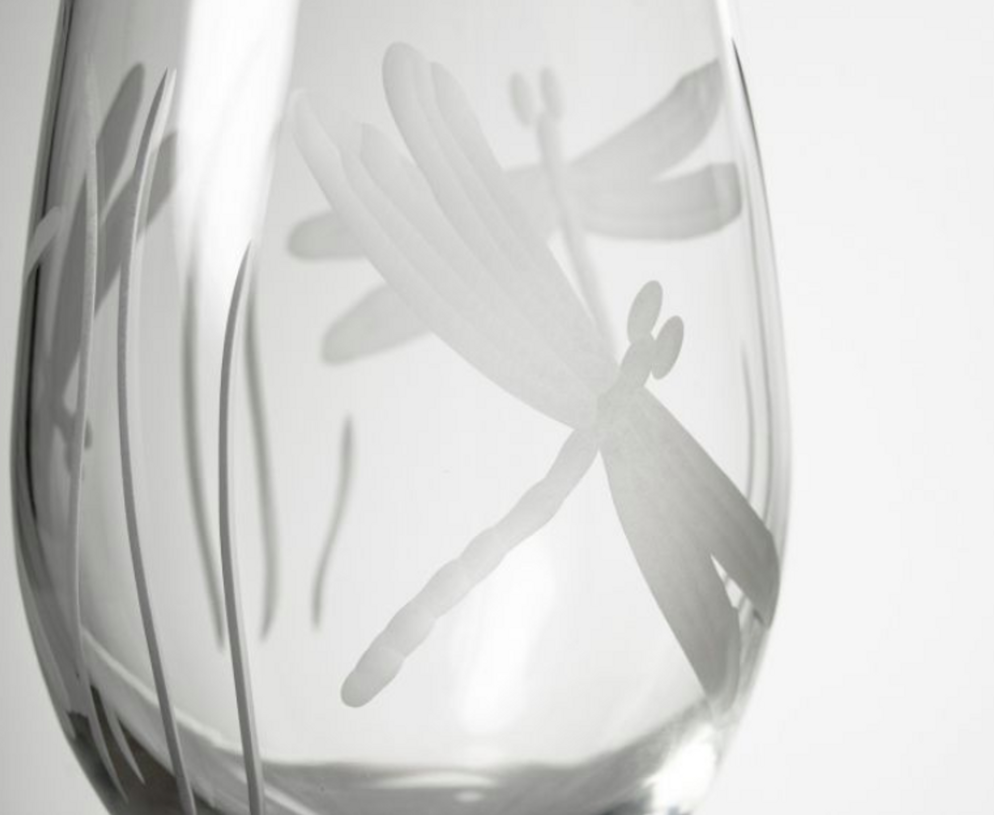 Acrylic Stemless Wine Glass Set, Dragonfly Flight - Lifeguard Press