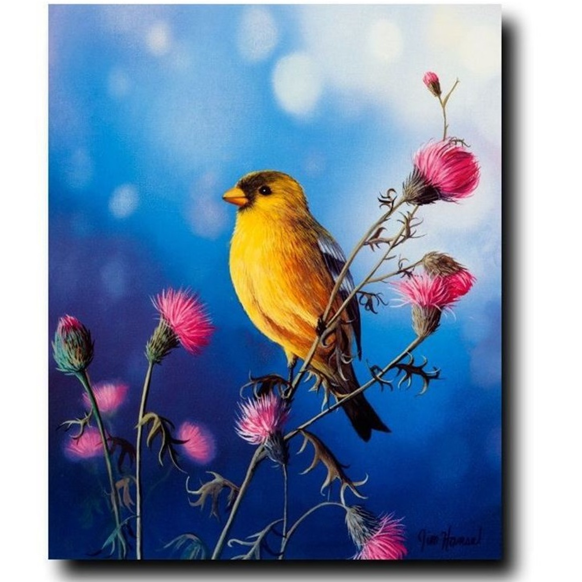 richard sloan gold finch print