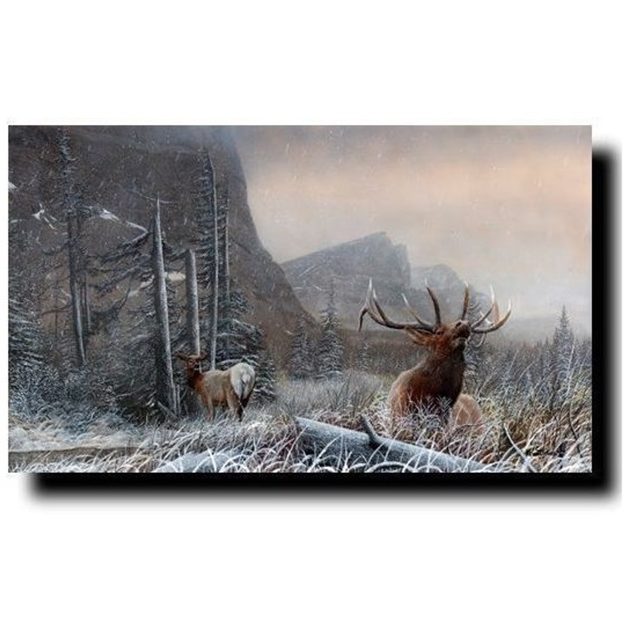 Elk Print | Commencement of the Rut | Kevin Daniel