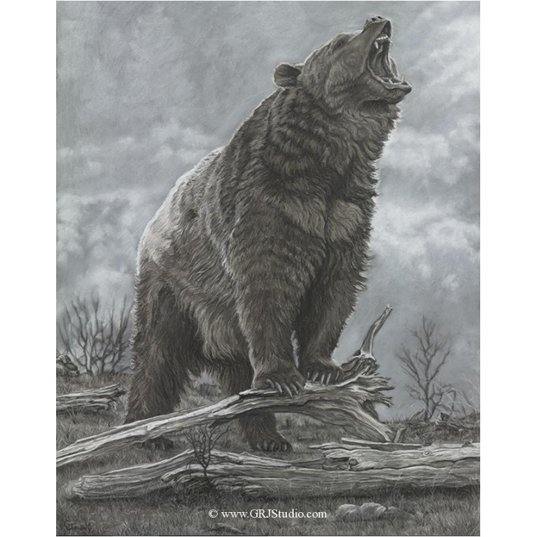Bear Last Stand Great | The the of - National Geographic Of com