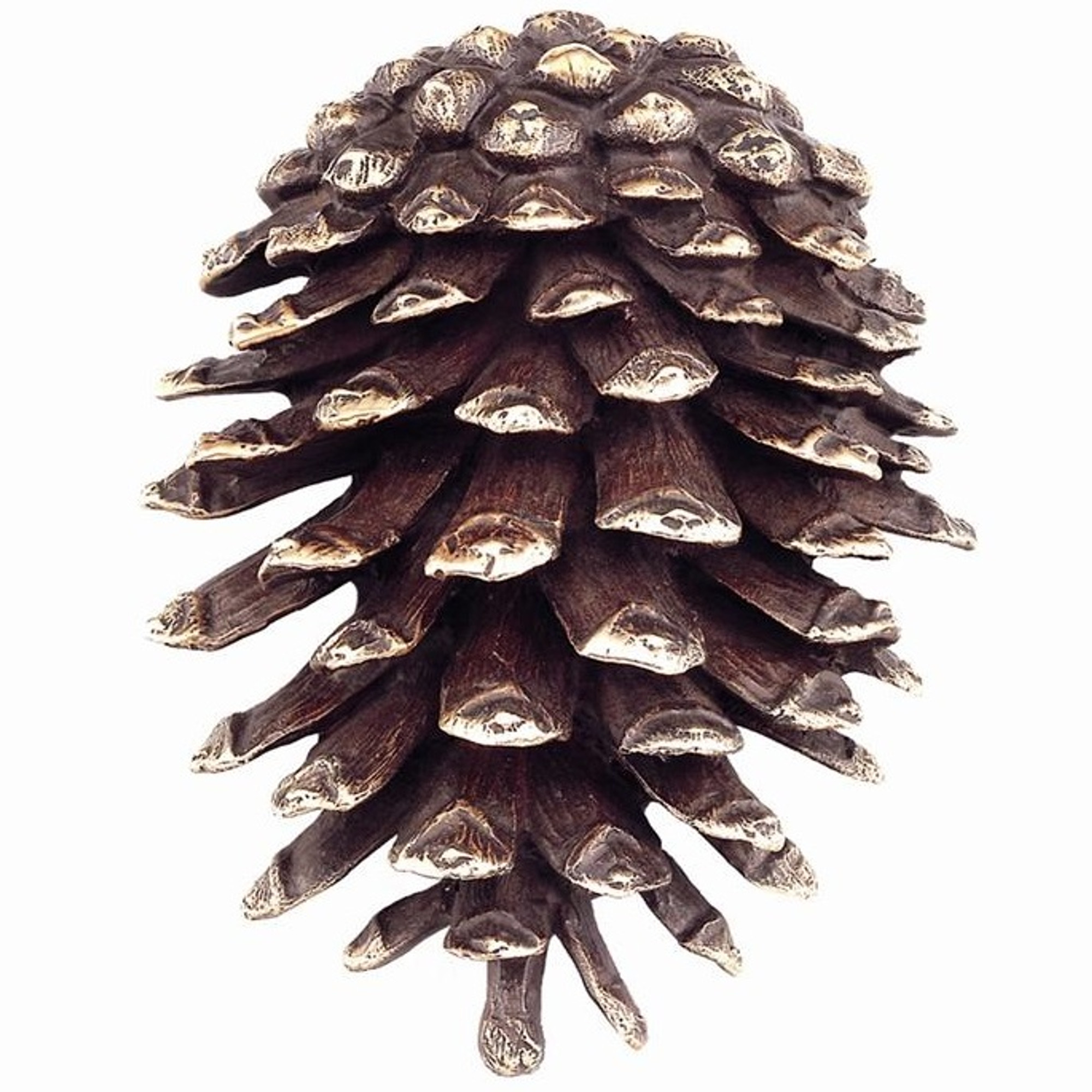 Decorative Pine Cone Bookends