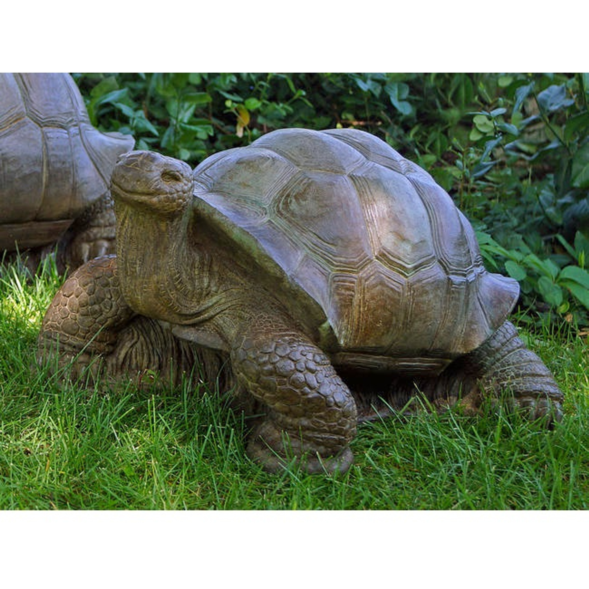 Turtle Concrete Outdoor Garden Statue Turtle Henri Studio