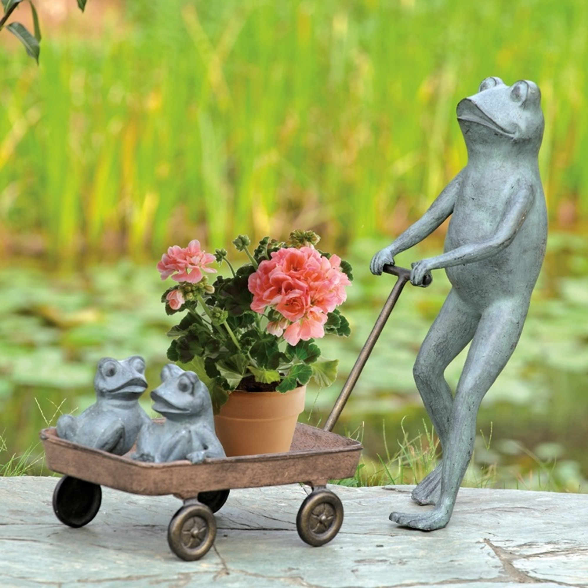 Frog Hiding in Flower Pot by Under the Sun Van Group