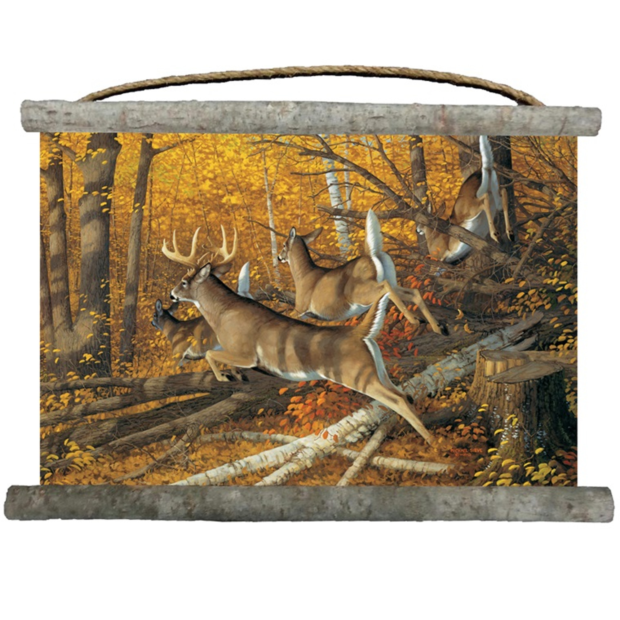 whitetail deer wall decor