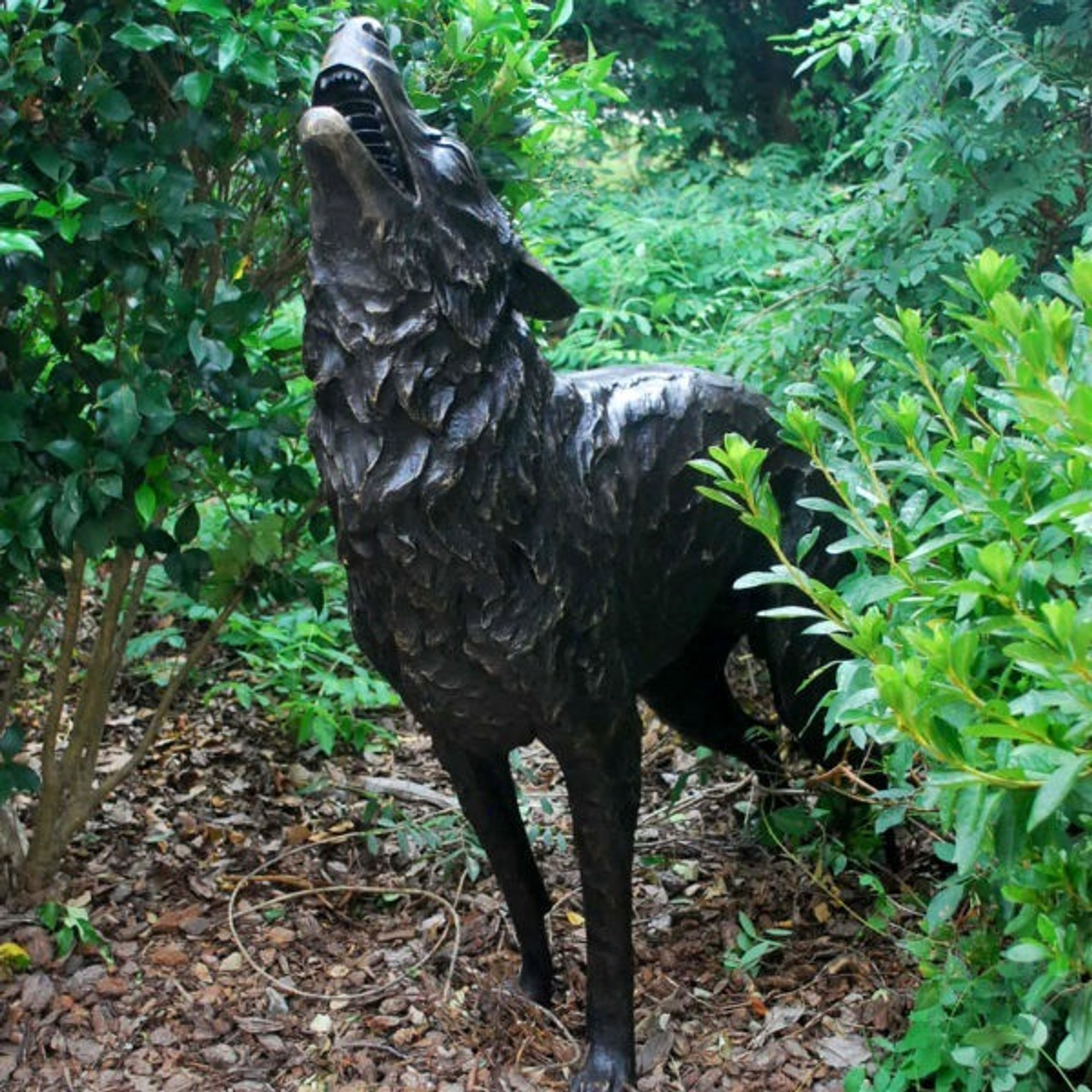Wolf Sculpture, Bronze