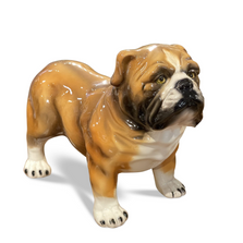 Bulldog Ceramic Dog Sculpture | Intrada Italy | ANI2339