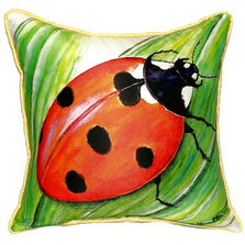 Ladybug Indoor Outdoor Pillow 22x22 | Betsy Drake | BDZP457