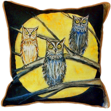 Night Owl Indoor Outdoor Pillow 22x22 | Betsy Drake | BDZP248