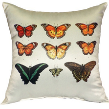 Orange Butterfly Indoor Outdoor Pillow 22x22 | Betsy Drake | BDZP026AP