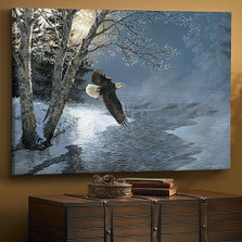 Bald Eagle Canvas Wall Art | Wild Wings | F925020532