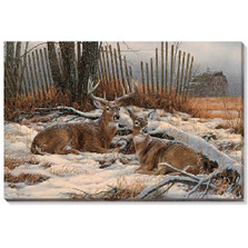 Whitetail Deer Canvas Wall Art | Wild Wings | F593850565