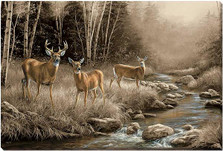 Whitetail Deer Canvas Wall Art | October Mist | Wild Wings | F593557165