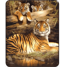 Tiger Faux-Mink Blanket | Quiet Fire | DB5268-2