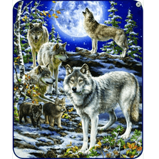 Wolf Faux-Mink Blanket | The Spirit of the Pack | DB5427-2