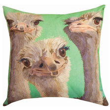 Ostrich 3 Amigos Indoor Outdoor Throw Pillow | SL3OST