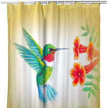 Dick's Hummingbird Shower Curtain | BDSH1093