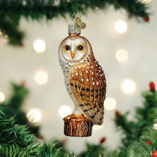 Barn Owl Glass Ornament | OWC16118