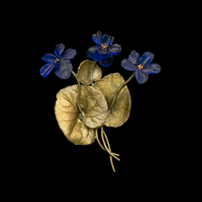 Wild Violet Statement Brooch | Nature Jewelry | Michael Michaud | 6221BZ