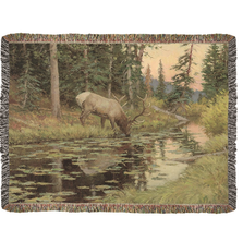 Buck At Forest Pool Tapestry Throw Blanket 