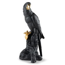 Limited Edition Black and Gold Macaw Bird Porcelain Figurine | Lladro | LLA01009577