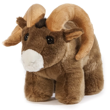 Bighorn Sheep Coin Bank | Carstens Friendly Coin Bank | PB308