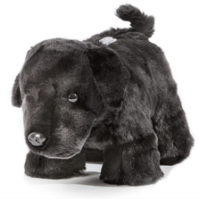 Black Lab Dog Coin Bank | Carstens Friendly Coin Bank | PB305