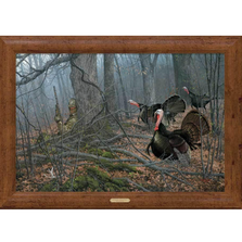 Turkey Framed Gallery Canvas "If Looks Could Kill" | WWD108085