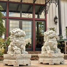 Set of 2 Magnesium Foo Dog Statues in Antique Grey | ZLIZR617270-GYS