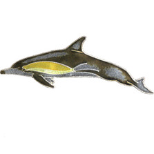 Dolphin Cloisonne Pin | Bamboo Jewelry | bj0042p