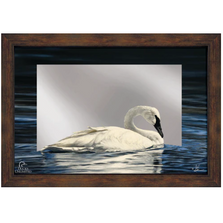 Framed Barnwood Swan Mirror | WWD204167