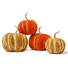 Braided Velvet Pumpkin | TC82848-20