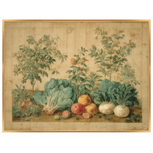 Martha Stewart Bedford | Kitchen Garden Harvest | Framed Country Farmhouse Wall Art | WWDMS00055a