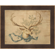 Martha Stewart Skylands | Wildlife Study: Stag Head | Framed Vintage Deer Illustration | Estate Natural History Wall Art | WWDMS00014