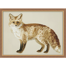 Martha Stewart Bedford | Farm Wildlife Portrait: Fox | Framed Wall Art | WWDMS00056a