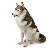 Sitting Grey Wolf Large Stuffed Animal | HTU8704