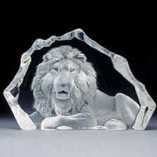 Lion Color Crystal Sculpture | 33906 | Mats Jonasson Maleras