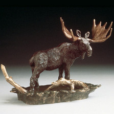 Moose Bronze Sculpture | Mark Hopkins | mhs22016