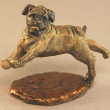 Pug Bronze Sculpture | Mark Hopkins | MHS72053