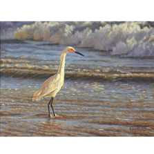 Egret Print "Surf Fisherman" | Gary Johnson | GJegretsurf